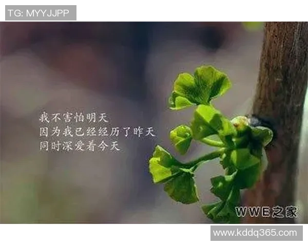 女篮球明星的个性网名推荐与创意分享,展现她们的风采与魅力 女篮球明星的个性网名推荐与创意分享,展现她们的风采与魅力