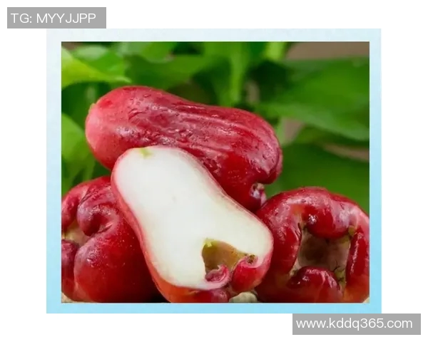 篮球明星的饮食习惯揭秘他们对水果的喜好与健康影响分析