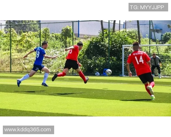 中国足球图片展示激情与梦想展现球员风采与比赛瞬间的精彩瞬间