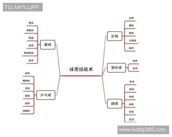 全明星篮球书籍推荐助你提升球技与战术思维的必读书单